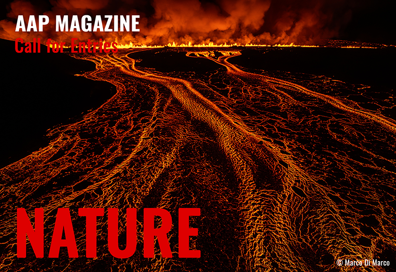 Nature Unveiled: Capturing the Splendor of Landscapes, Wildlife, Flora & Fauna