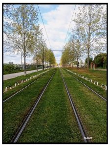 Critique Image Photophiles - Photo Catherine Jaly