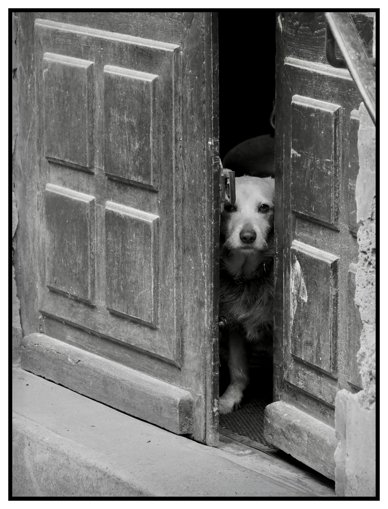 Photo Patrick Goulesque