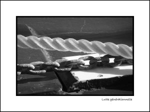 Critique Image Photophiles - Photo Christian Nauroy